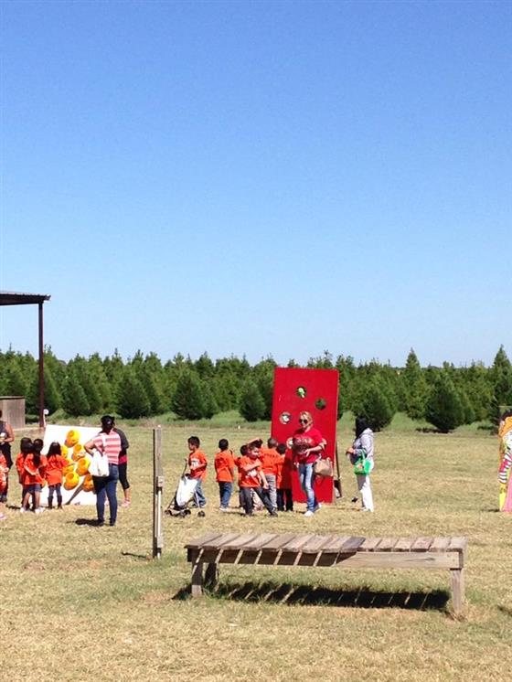elgin christmas tree farm pumpkin festival texas haunted elgin christmas tree farm pumpkin festival texas haunted