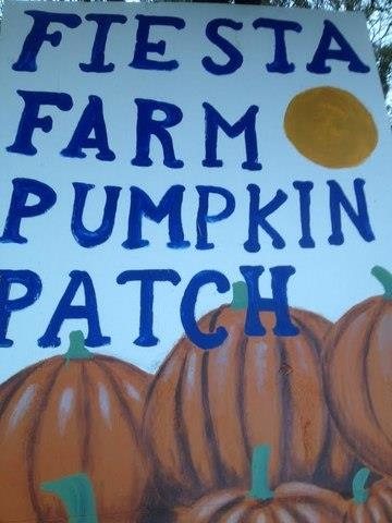 Pumpkin Patch On Hwy 151 San Antonio