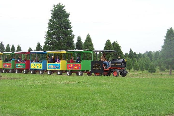 old time christmas tree farm pumpkin patch texas haunted old time christmas tree farm pumpkin patch texas haunted