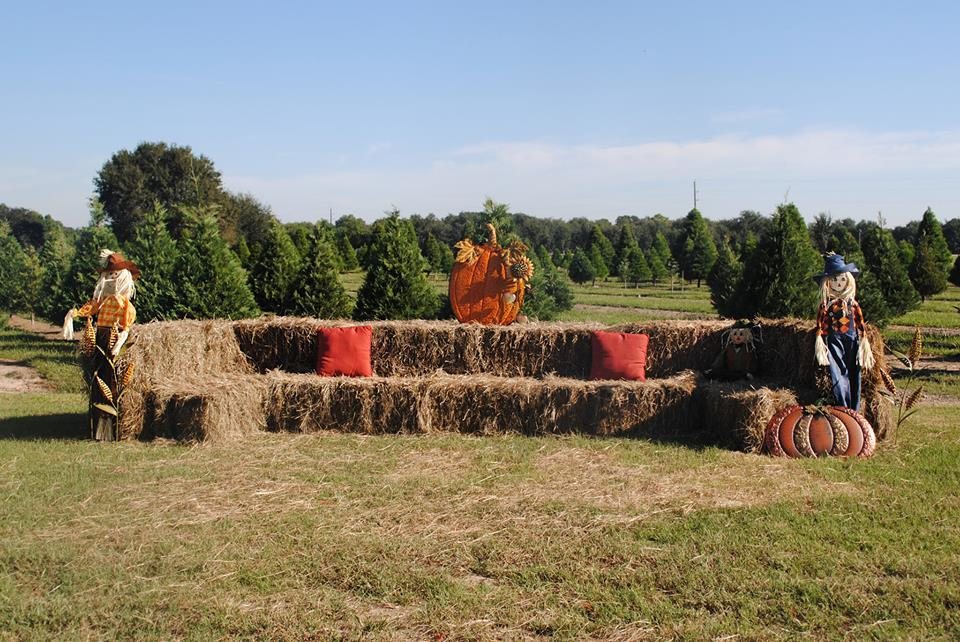 old time christmas tree farm pumpkin patch texas haunted old time christmas tree farm pumpkin patch texas haunted
