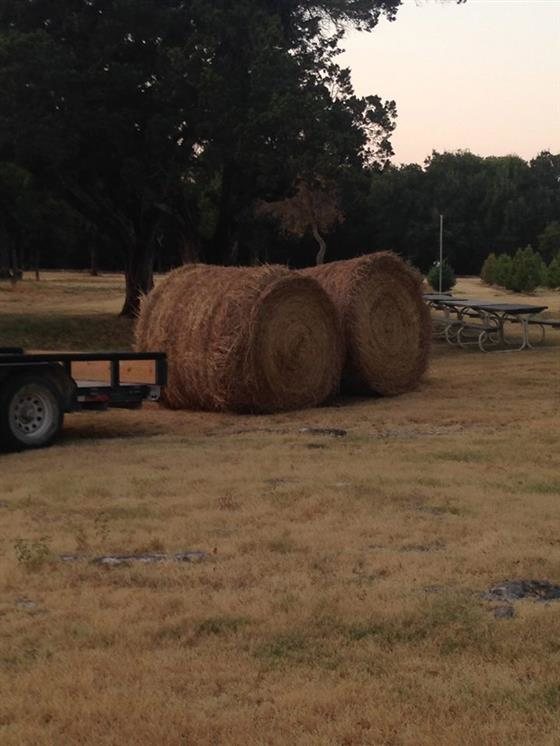 silo christmas tree farm pumpkin patch texas haunted houses silo christmas tree farm pumpkin patch texas haunted houses