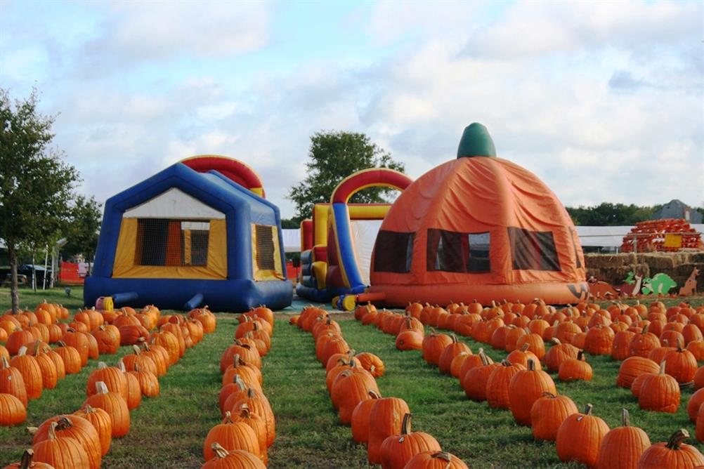 The Flower Mound Pumpkin Patch The Flower Mound Pumpkin Patch
